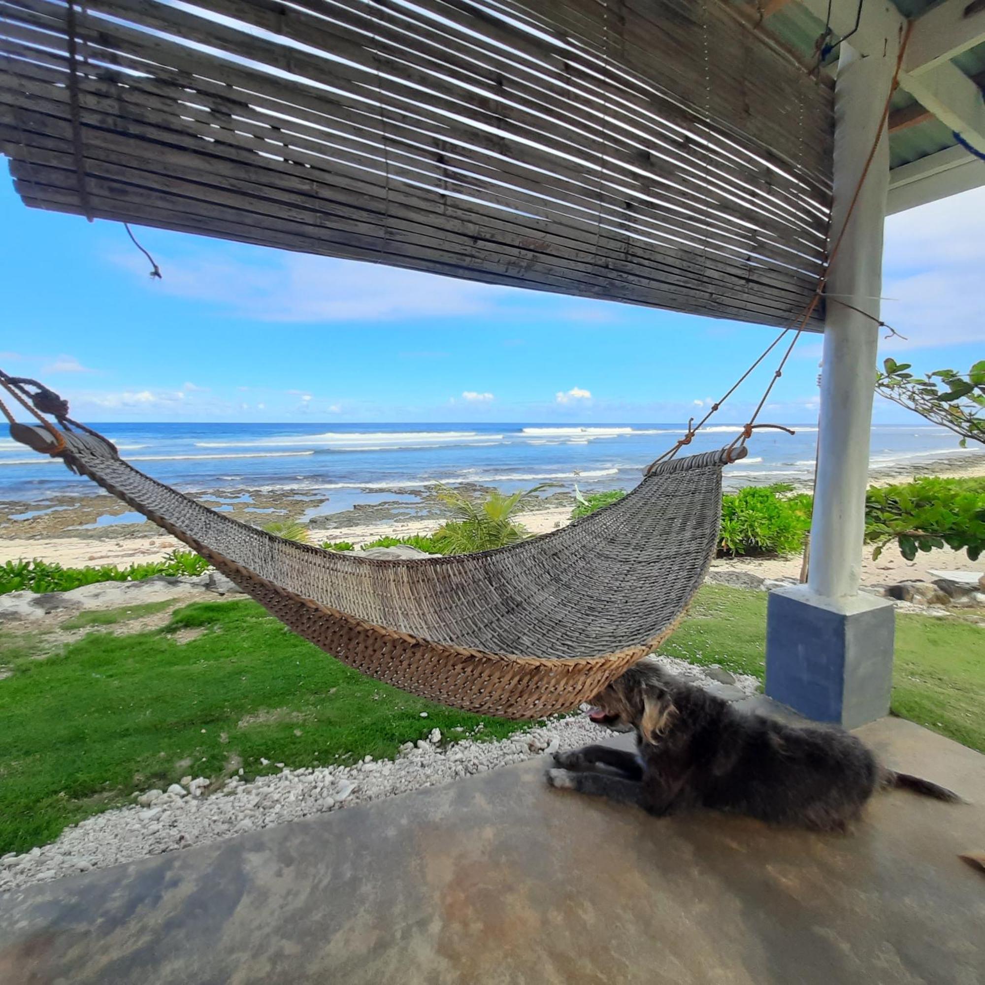 Bluewave Surf * San Isidro (Siargao)